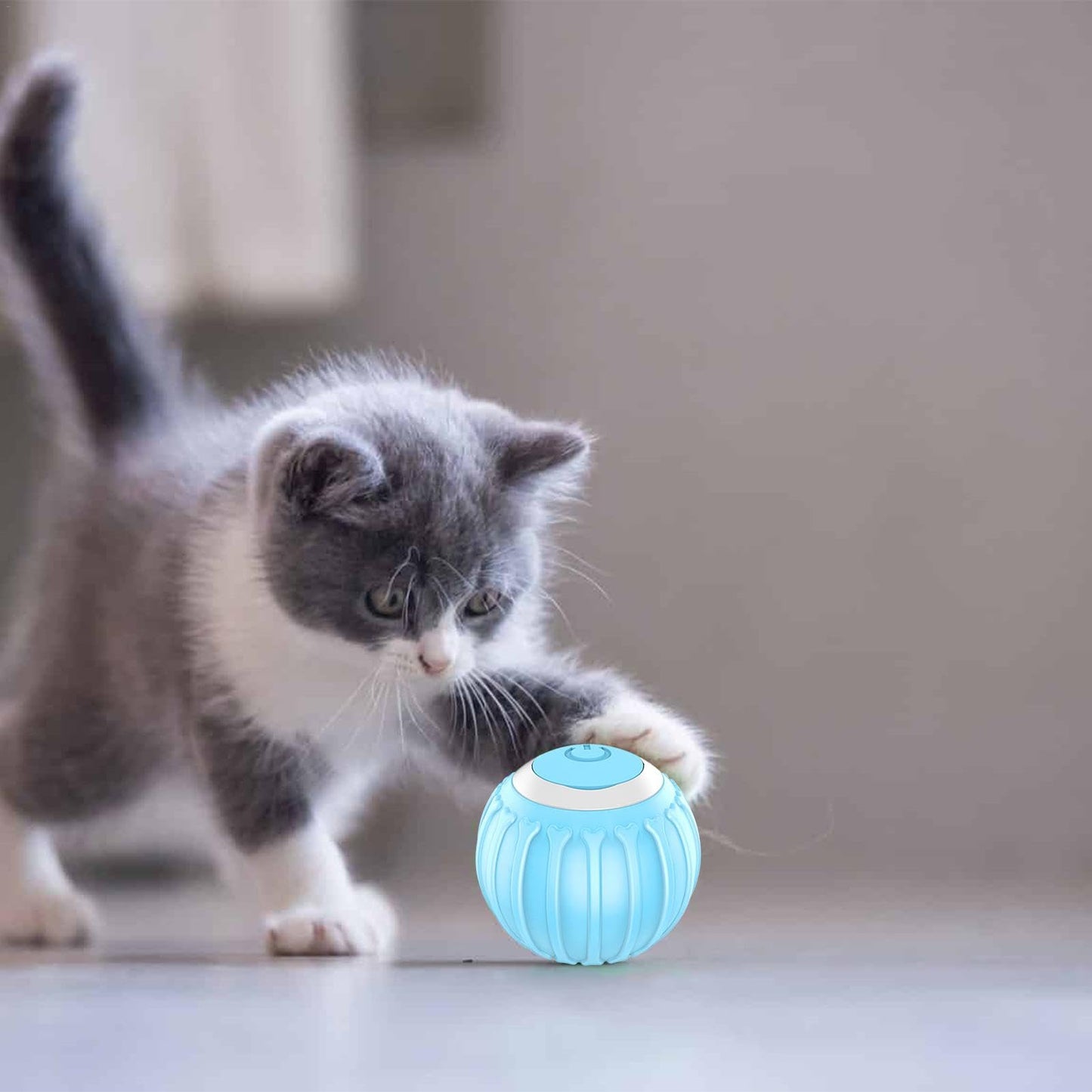 SpinPet Pelota Inteligente Para Mascotas