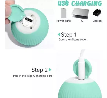 SpinPet Pelota Inteligente Para Mascotas